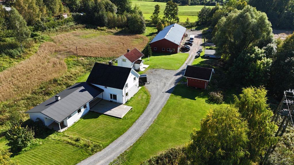 Kikut
